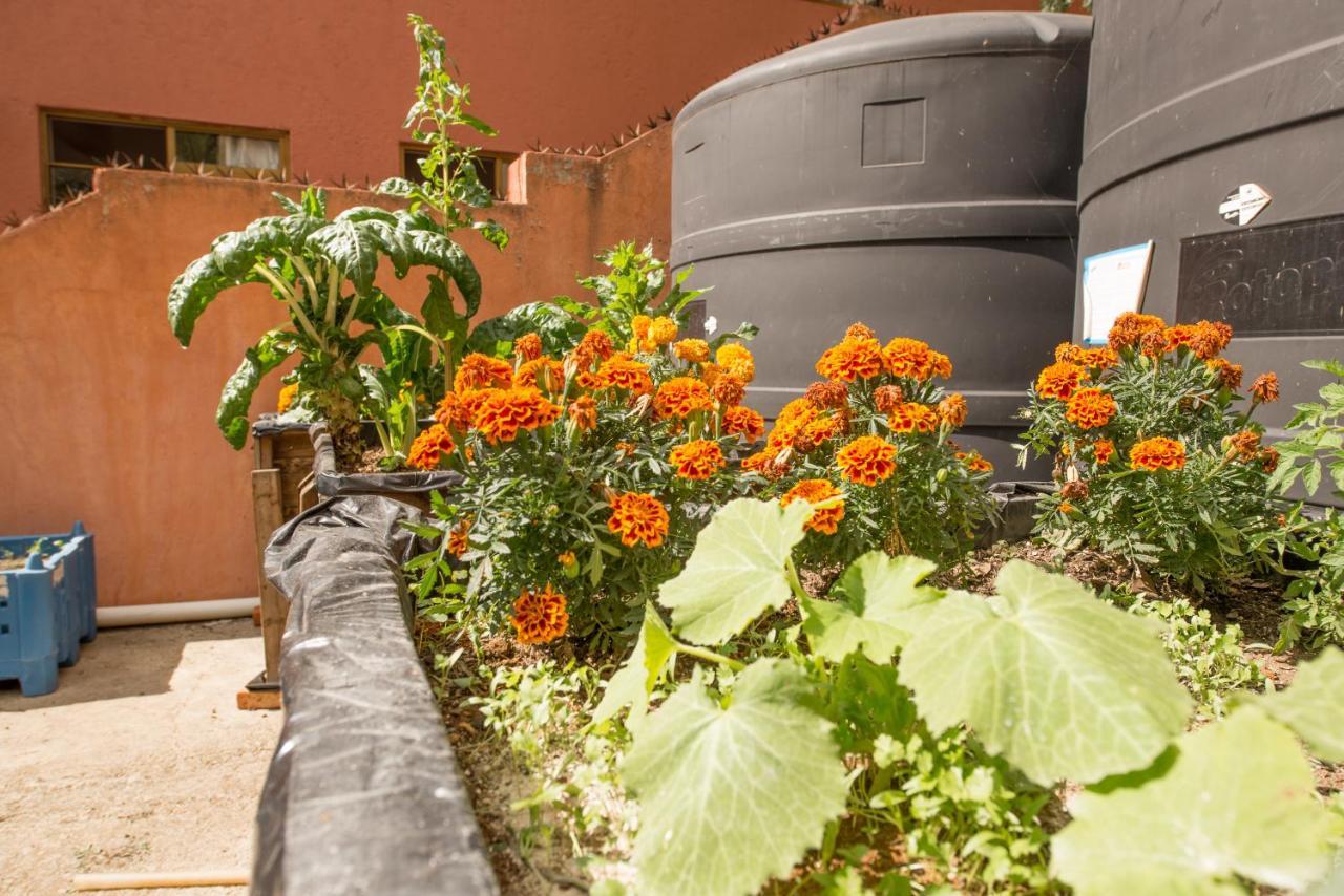 Casa Estrella De La Valenciana Hotel Boutique Guanajuato Bagian luar foto