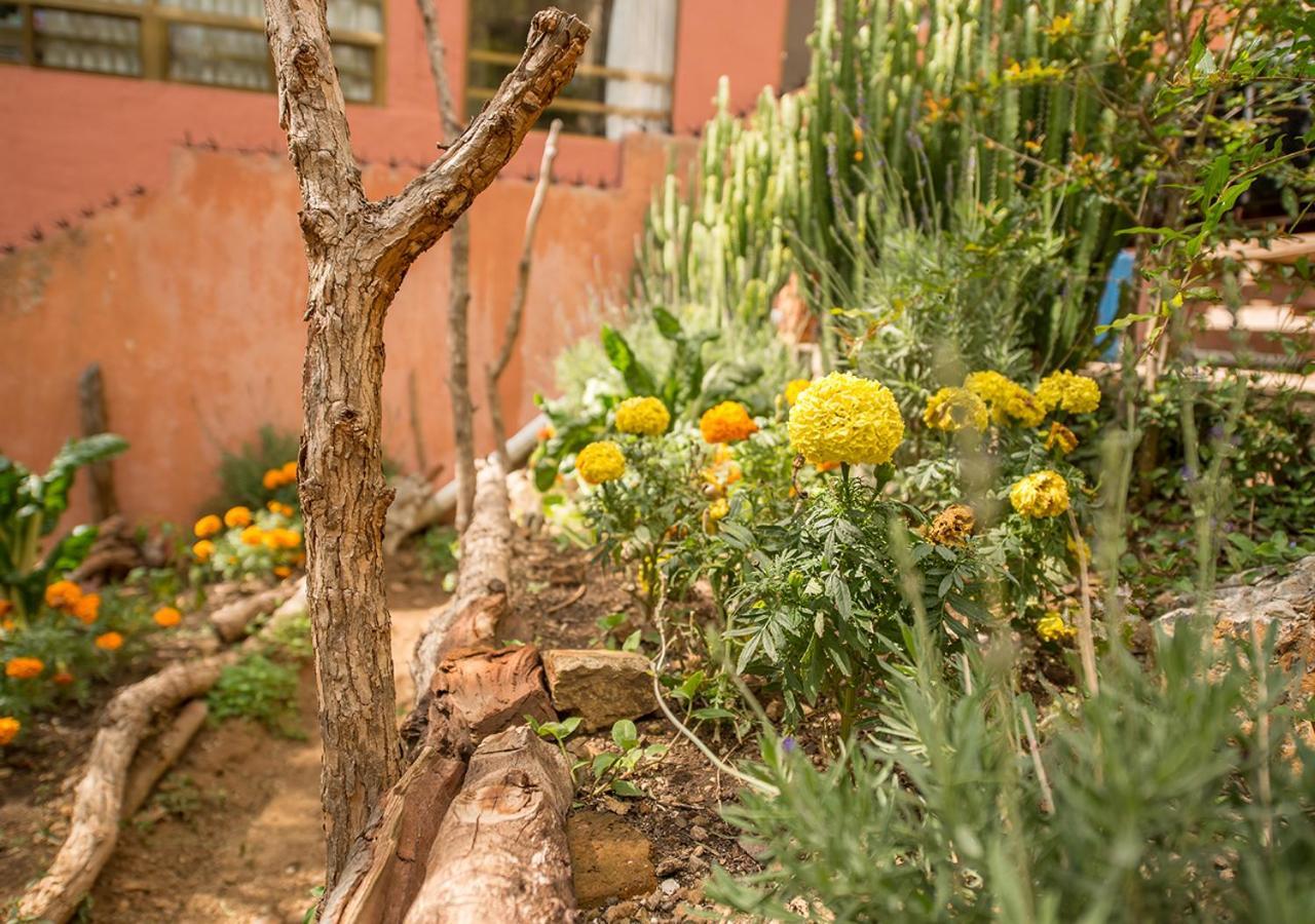 Casa Estrella De La Valenciana Hotel Boutique Guanajuato Bagian luar foto